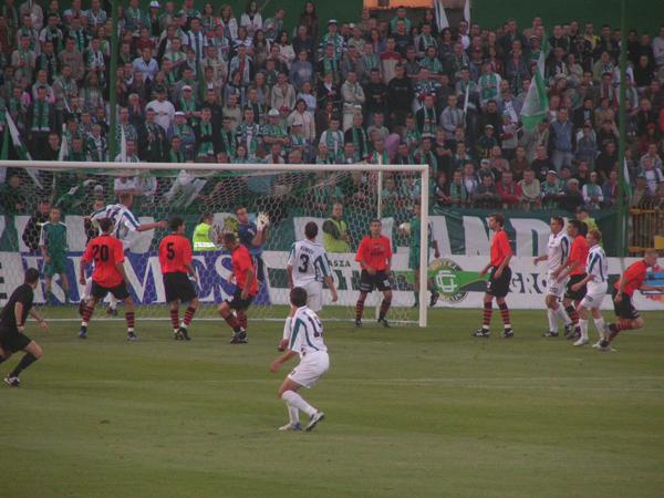 MINOLTA DIGITAL CAMERA